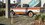 IMG_1118.jpeg