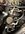 IMG_5866.jpeg