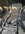 IMG_3272.jpeg