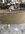 IMG_3295-compressed.jpeg