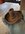 IMG_9357.jpeg