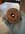IMG_9358.jpeg