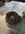 IMG_9360.jpeg
