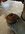 IMG_9359.jpeg