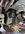 IMG_9372.jpeg