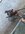 IMG_3465.jpeg