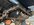 IMG_9399.jpeg