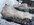 IMG_9401.jpeg