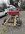 IMG_1906.jpeg