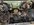 IMG_9427.jpeg