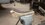 IMG_20260318_135646518_MP.jpg
