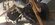 IMG_7184.jpeg