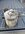 IMG_8470.JPEG