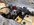 IMG_7124.jpeg