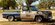 IMG_7537.jpeg