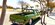 IMG_7515.jpeg