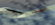 IMG_7451.png