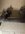 IMG_8739.JPEG IMG_8739.JPEG