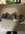 IMG_8742.JPEG IMG_8742.JPEG