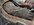 IMG_7161.jpeg