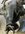 IMG_3504-compressed.jpeg