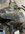 IMG_3503-compressed.jpeg