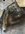 IMG_3496-compressed.jpeg