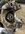 IMG_3495-compressed.jpeg