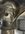 IMG_3493-compressed.jpeg