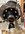 IMG_6005.jpeg