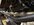 IMG_5295.jpeg