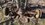 IMG_1300.jpeg