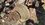 IMG_1301.jpeg