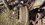 IMG_1304.jpeg