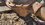 IMG_1305.jpeg