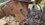 IMG_1306.jpeg