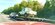 IMG_8041.jpeg