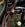 IMG_7208.jpeg