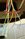 IMG_7214.jpeg