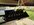 IMG_7215.jpeg