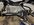 IMG_3638-compressed.jpeg