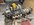 IMG_9555.jpeg