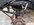IMG_8869.jpeg