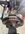IMG_8868.jpeg
