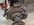 IMG_8871.jpeg