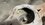 IMG_1318.jpeg