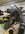 IMG_4445.jpeg