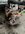 IMG_9587.jpeg