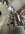 IMG_3714-compressed.jpeg