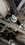 IMG_20260410_220936477_MP.jpg